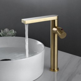 Robinet de lavabo de salle...