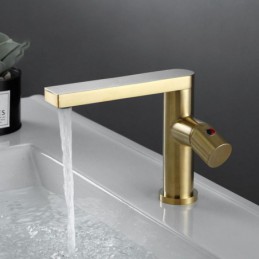 Robinet de lavabo de salle...