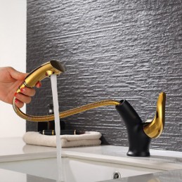 Robinet de lavabo de salle...