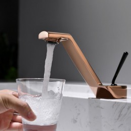 Robinet de lavabo de salle...