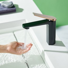 Robinet de lavabo de salle...