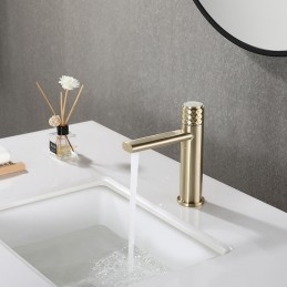 Robinet de lavabo de salle...