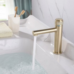 Robinet de lavabo de salle...