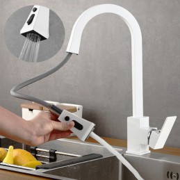Robinet de cuisine à arc...