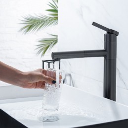 Robinet de lavabo de salle...