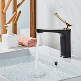 Robinet de lavabo de salle...