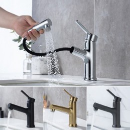 Robinet de lavabo de salle...