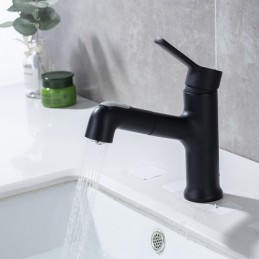 Robinet de lavabo de salle...