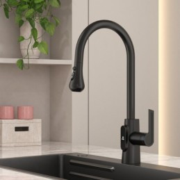 Robinet de Cuisine en Noir...
