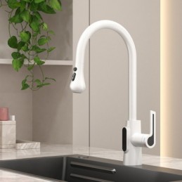 Robinet de Cuisine pour Eau...