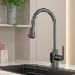 Robinet de Cuisine pour Eau...