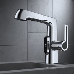Robinet de Lavabo en Argent...
