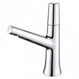 Robinet de Lavabo pour Eau...
