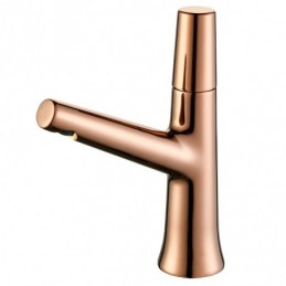 Robinet de Lavabo pour Eau...